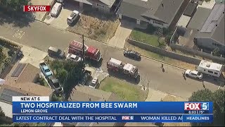 Swarm of bees sends two people to hospital [upl. by Anallise]