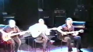 Hank Marvin plays quotPetite Fleurquot live [upl. by Rebe]