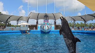 Flipper the Dolphin Miami Seaquarium [upl. by Mot]