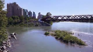 Peace bridge Calgary [upl. by Ayhdnas]