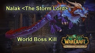 World of Warcraft  Nalak The Storm Lord World Boss [upl. by Kassie892]