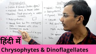 Kingdom Protista  Chrysophytes and Dinoflagellates in Hindi [upl. by Laram]