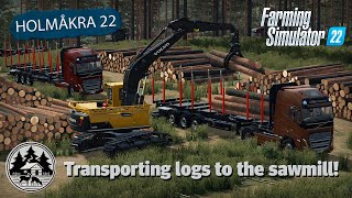 LOG LOADING AND UNLOADING USING THE VOLVOS  FS22  Forestry  Holmåkra 22  Timelapse  E07 [upl. by Monie]