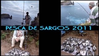 PESCA de SARGOS JOSE SILVA III HD [upl. by Ecnarwal]