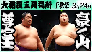 大相撲 尊富士ー豪ノ山＜令和６年三月場所・千秋楽＞SUMO [upl. by Neysa]