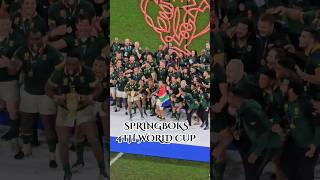 Springboks vs All Blacks  RWC FINAL [upl. by Neladgam]