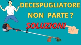 DECESPUGLIATORE NON PARTE [upl. by Eislel]