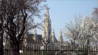 Austria Vienna Rathaus  City Hall Exterior HD Video Tour  Wiener Rathaus [upl. by Venetia]