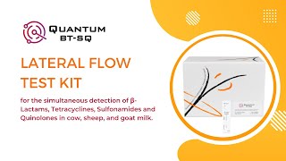 Quantum BTSQ  Rapid Test for the detection of βLactams Tetracyclines Sulfonamides amp Quinolones [upl. by Aitsirk]