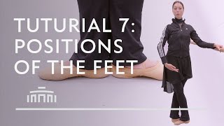 5 basic ballet positions  Tuturial 7 ballet excercise  Dutch National Ballet [upl. by Huai]