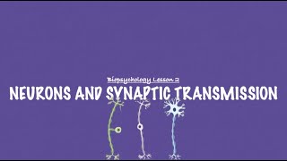 ALevel Psychology AQA Neurons and Synaptic Transmission UPDATE [upl. by Charil656]