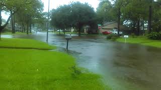 Friendswood Texas neighborhood flooded street [upl. by Ahsekin521]