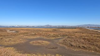 Silver Strand State Beach and Bayshore Bikeway [upl. by Canty41]