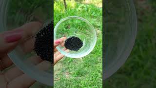 💯Powerful Fenugreek And Black Seeds Hair Growth Tonic shorts haircare hairgrowth longhairviral [upl. by Noterb]