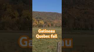 see the fall colors in the Gatineau Quebec mountain today beautiful montrealtourism quebeccite [upl. by Blunk]