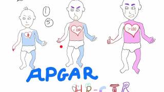 Understanding APGAR score the best explanation with a mnemonic [upl. by Cochard]