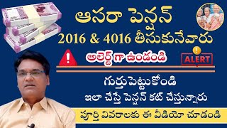 Aasara pension scheme Aasara pension guidlines ఇలా చేస్తే పెన్షన్ రద్దు అవుతుంది [upl. by Teloiv]