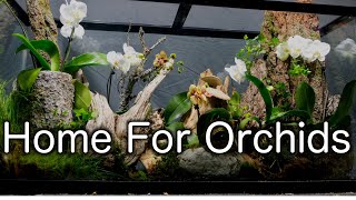 Making a Rehabilitation Terrarium for Orchids [upl. by Ttennaej]