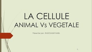 Biologie Cellulaire S1  la cellule végétale et la cellule animale الإختلاف بينهما [upl. by Curren]