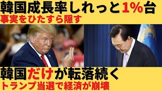 【ゆっくり解説】韓国成長率シレっと下方修正、トランプ当選で韓国だけ崩壊するｗ [upl. by Atiuqiram]