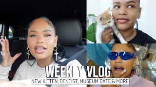 WEEKLY VLOG  NEW KITTEN  DENTIST  MUSEUM DATE  A TOWED CAR AND MORE lol  Arnellarmon [upl. by Steinman]