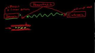 Physiology of Hemostasis amp the Coagulation Cascade [upl. by Anitsim]