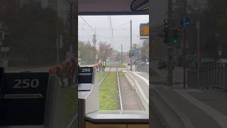 Führerstandsmitfahrt mit der Straßenbahn in Karlsruhe train [upl. by Bonina]