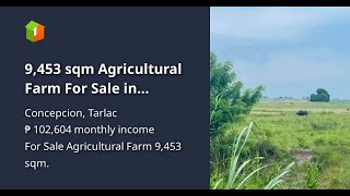 9453 sqm Agricultural Farm For Sale in Concepcion Tarlac [upl. by Nosittam434]