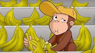 Curioso Come George 🐵 George ottiene un lavoro 🐵Cartoni per Bambini [upl. by Oderfigis]