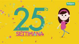 25° settimana di gravidanza [upl. by Benildis429]