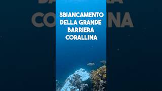 SBIANCAMENTO GRANDE BARRIERA CORALLINA Natura Oceano Short [upl. by Tiraj]