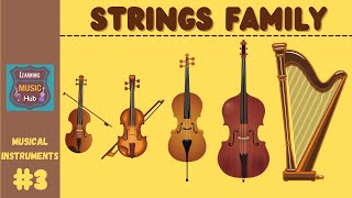 STRINGS FAMILY  INSTRUMENTS OF THE ORCHESTRA  LESSON 3  LEARNING MUSIC HUB  ORCHESTRA [upl. by Menzies]