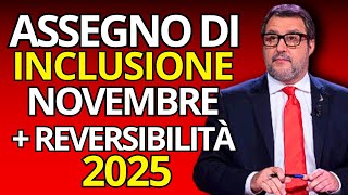 Assegno di Inclusione Novembre e Aumenti Reversibilità 2025 Tutte le Novità [upl. by Hardi688]