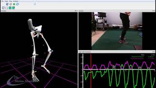 Hybrid Motion Capture with Qualisys Cameras and IMUs [upl. by Ahserb]