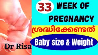 33 Week of Pregnancy  Pregnancy Week By Week MMalayalam [upl. by Celestia]