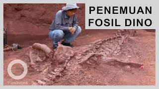 Fosil Dinosaurus Hampir Lengkap Ditemukan di China  TomoNews [upl. by Nylra]