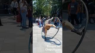 Festival Quiróptera en Chapultepec [upl. by Petty]