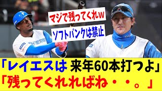 新庄「レイエスは来年60本打つよ」「ソフトバンクに獲られなければねｗｗｗ」 [upl. by Ribaudo]