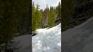 Hiking in Deep Snow Rocky Mountain National Park Wilderness 🏔️🌲🇺🇸 hiking colorado [upl. by Llecrep534]