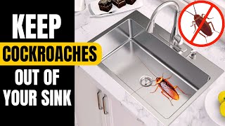 How to Get Rid of Cockroaches in Your Sink and Drains [upl. by Cahilly571]