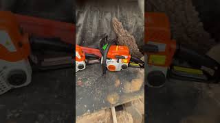 Whats better Stihl MS170 or the Stihl MS180  stihl stihlchainsaw stihlms170 stihlms180 [upl. by Niamrahc653]