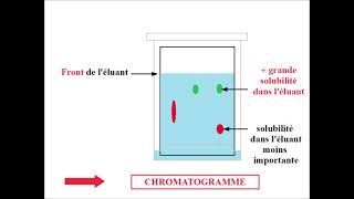 CHROMATOGRAPHIE sur couche mince  VOCABULAIRE [upl. by Ynnohj580]