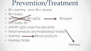 Rh Disease  USMLE Step 2 Review [upl. by Barren]