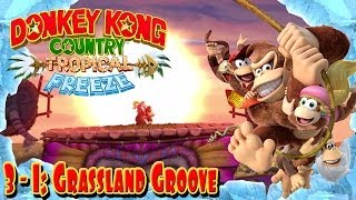 Donkey Kong Country Tropical Freeze  Part 19  quotGrassland Groovequot 31 100 Walkthrough [upl. by Jaddo]