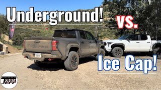 2024 Tacoma TRD Pro  Underground vs Super White [upl. by Isaacson]