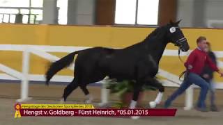 Goldberg  Fürst Heinrich 2015 [upl. by Vilma]