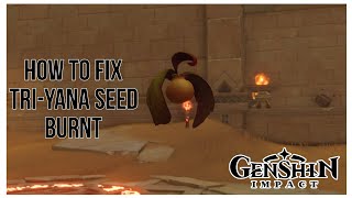 How to fix Triyana Seed Burnt Lost In The Sands  Continue Exploring Quest Genshin Impact [upl. by Millburn212]