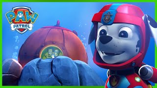 Marshall salva i Turbots  PAW Patrol I cuccioli Episodi Italiano  Pup Tales [upl. by Hteazile82]