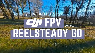 Stabilize DJI FPV Footage with ReelSteady Go [upl. by Cathrine]