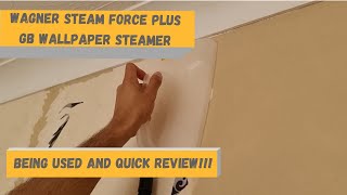 Review of the Wagner Steam Force Plus GB Wallpaper Steamer [upl. by Juley]